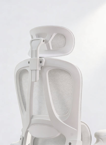 Apex Pro Ergonomic Chair