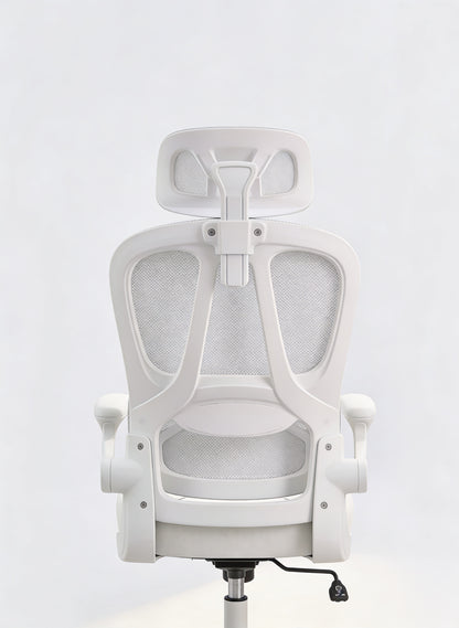 Apex Pro Ergonomic Chair
